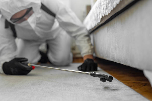 Professional Cockroach Control technician working in Toftrees, PA