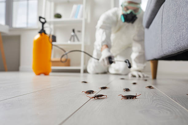 Trusted Termite Control service in Toftrees, PA - Nex Pest Control