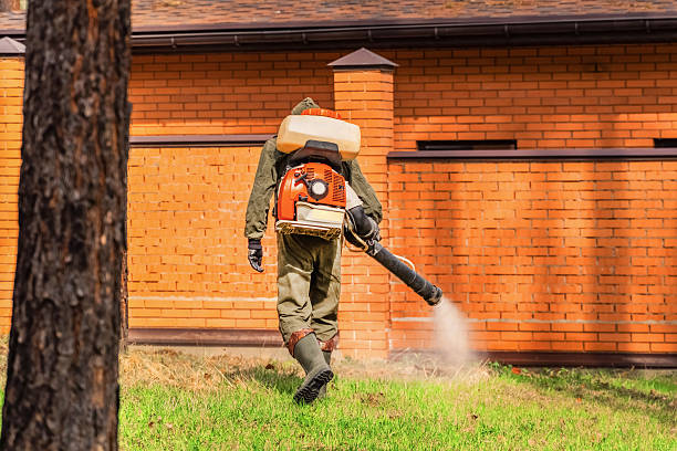 Trusted Ant Control service in Toftrees, PA - Nex Pest Control